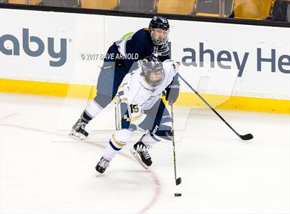 Thumbnail 3 in St. Mary's vs. Framingham (MIAA Division 1 Final) photogallery.