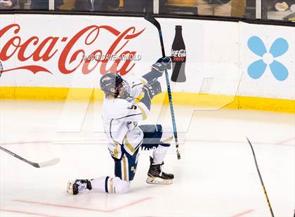 Thumbnail 3 in St. Mary's vs. Framingham (MIAA Division 1 Final) photogallery.