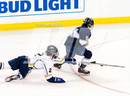 Thumbnail 1 in St. Mary's vs. Framingham (MIAA Division 1 Final) photogallery.