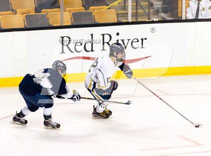 Thumbnail 2 in St. Mary's vs. Framingham (MIAA Division 1 Final) photogallery.