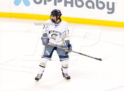 Thumbnail 1 in St. Mary's vs. Framingham (MIAA Division 1 Final) photogallery.