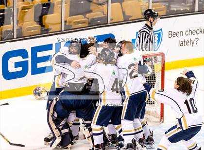 Thumbnail 3 in St. Mary's vs. Framingham (MIAA Division 1 Final) photogallery.