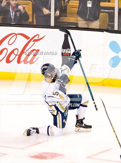 Thumbnail 1 in St. Mary's vs. Framingham (MIAA Division 1 Final) photogallery.