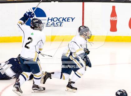 Thumbnail 1 in St. Mary's vs. Framingham (MIAA Division 1 Final) photogallery.