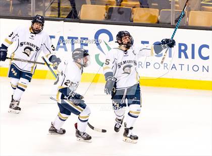 Thumbnail 3 in St. Mary's vs. Framingham (MIAA Division 1 Final) photogallery.