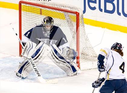 Thumbnail 1 in St. Mary's vs. Framingham (MIAA Division 1 Final) photogallery.