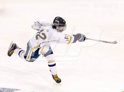 Thumbnail 2 in St. Mary's vs. Framingham (MIAA Division 1 Final) photogallery.