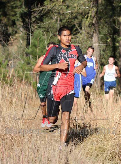 Thumbnail 3 in 1A-2A D3 District Meet photogallery.