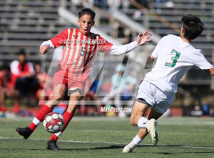 Thumbnail 3 in South Plainfield vs Edison photogallery.