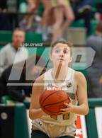 Photo from the gallery "Logan Elm @ Athens"