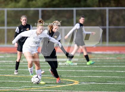 Thumbnail 2 in North Allegheny vs. Norwin (PIAA Class 4A Quarterfinal) photogallery.