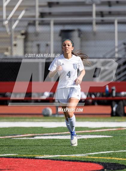 Thumbnail 2 in North Allegheny vs. Norwin (PIAA Class 4A Quarterfinal) photogallery.
