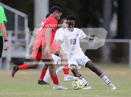 Thumbnail 1 in Jack Britt @ Seventy-First photogallery.