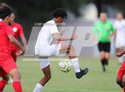 Thumbnail 2 in Jack Britt @ Seventy-First photogallery.