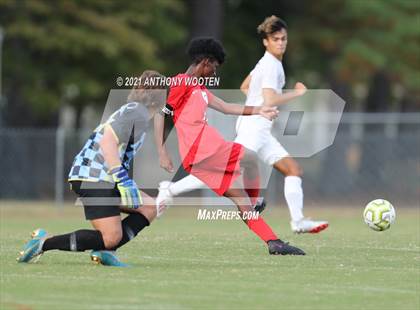 Thumbnail 3 in Jack Britt @ Seventy-First photogallery.