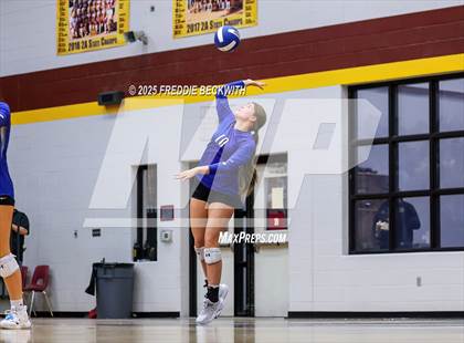 Thumbnail 3 in Tioga vs. Wolfe City (UIL 2A Volleyball Area Playoff) photogallery.