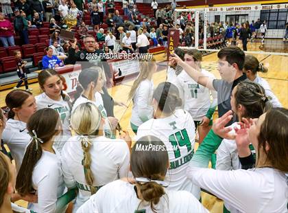 Thumbnail 3 in Tioga vs. Wolfe City (UIL 2A Volleyball Area Playoff) photogallery.