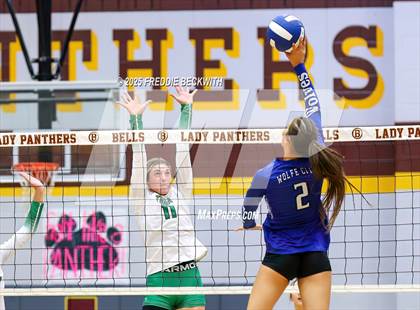 Thumbnail 1 in Tioga vs. Wolfe City (UIL 2A Volleyball Area Playoff) photogallery.