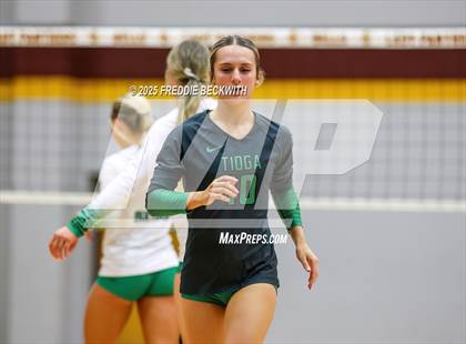 Thumbnail 1 in Tioga vs. Wolfe City (UIL 2A Volleyball Area Playoff) photogallery.