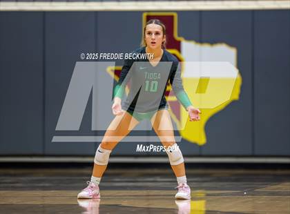 Thumbnail 3 in Tioga vs. Wolfe City (UIL 2A Volleyball Area Playoff) photogallery.