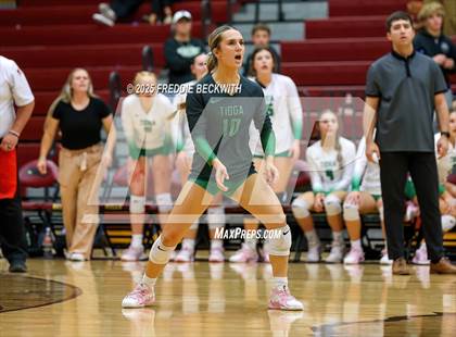 Thumbnail 3 in Tioga vs. Wolfe City (UIL 2A Volleyball Area Playoff) photogallery.