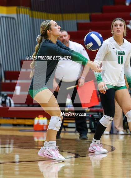Thumbnail 1 in Tioga vs. Wolfe City (UIL 2A Volleyball Area Playoff) photogallery.