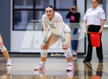 Thumbnail 2 in Tioga vs. Wolfe City (UIL 2A Volleyball Area Playoff) photogallery.
