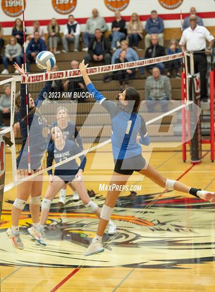Thumbnail 2 in Shrine Catholic vs Regina (CHSL Cardinal Quarterfinal) photogallery.