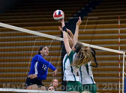 Thumbnail 3 in Basic @ Green Valley photogallery.