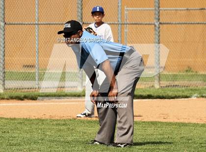 Thumbnail 3 in Irvington vs Freedom photogallery.