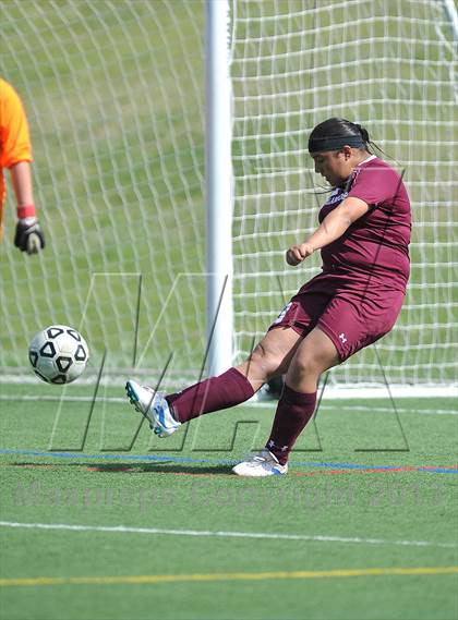 Thumbnail 3 in Kent Denver vs. Alamosa (CHSSA 3A 1st Round) photogallery.
