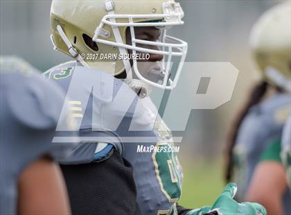 Thumbnail 1 in Long Beach Poly @ Serra photogallery.