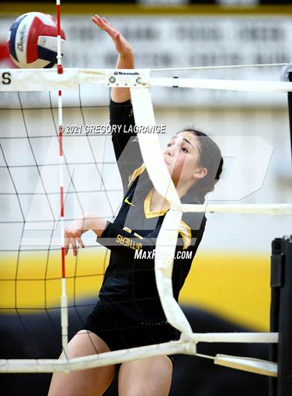 Thumbnail 1 in Timber Creek vs Fossil Ridge photogallery.
