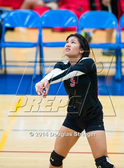 Thumbnail 3 in Arroyo @ Newark Memorial photogallery.