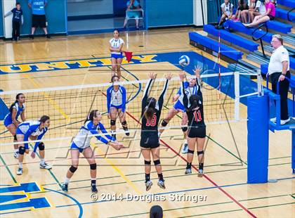 Thumbnail 2 in Arroyo @ Newark Memorial photogallery.