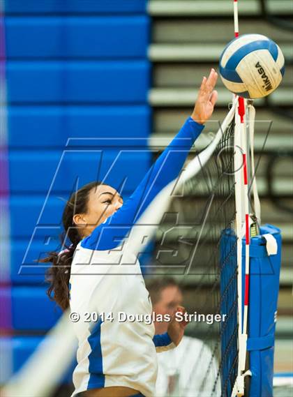 Thumbnail 2 in Arroyo @ Newark Memorial photogallery.