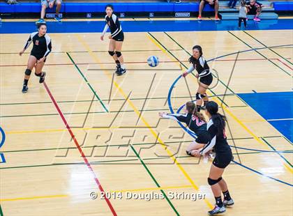 Thumbnail 3 in Arroyo @ Newark Memorial photogallery.