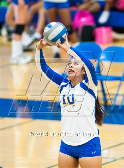 Thumbnail 1 in Arroyo @ Newark Memorial photogallery.