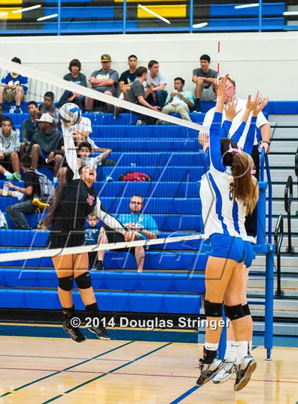 Thumbnail 2 in Arroyo @ Newark Memorial photogallery.