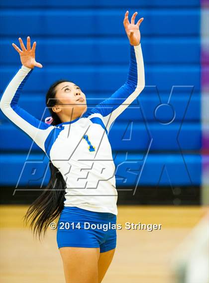 Thumbnail 3 in Arroyo @ Newark Memorial photogallery.