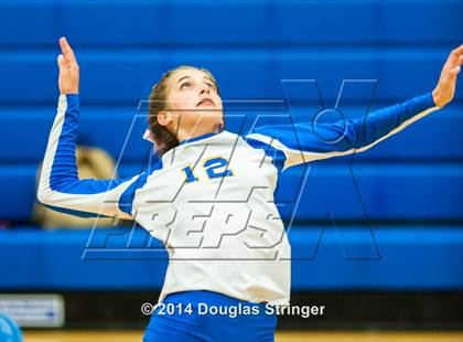 Thumbnail 1 in Arroyo @ Newark Memorial photogallery.
