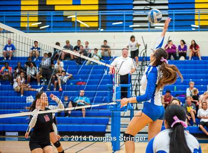 Thumbnail 1 in Arroyo @ Newark Memorial photogallery.
