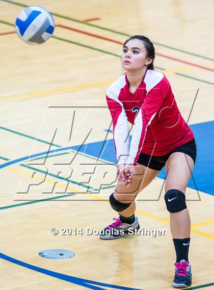Thumbnail 1 in Arroyo @ Newark Memorial photogallery.