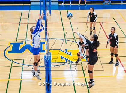 Thumbnail 2 in Arroyo @ Newark Memorial photogallery.