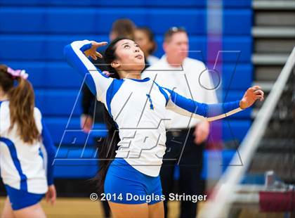 Thumbnail 2 in Arroyo @ Newark Memorial photogallery.