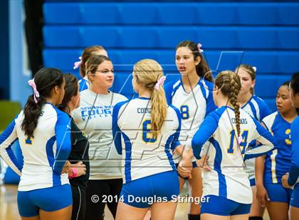 Thumbnail 3 in Arroyo @ Newark Memorial photogallery.
