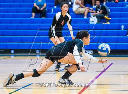 Thumbnail 2 in Arroyo @ Newark Memorial photogallery.
