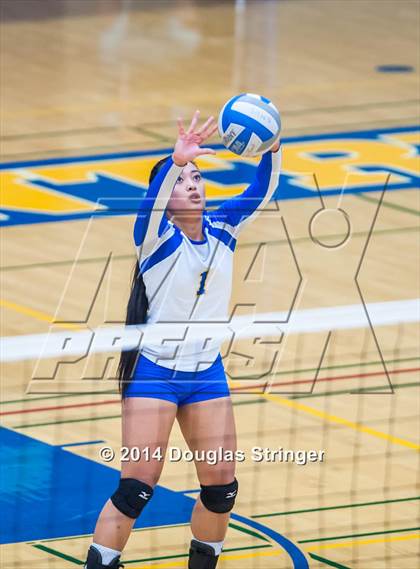 Thumbnail 1 in Arroyo @ Newark Memorial photogallery.