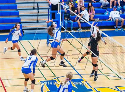 Thumbnail 2 in Arroyo @ Newark Memorial photogallery.