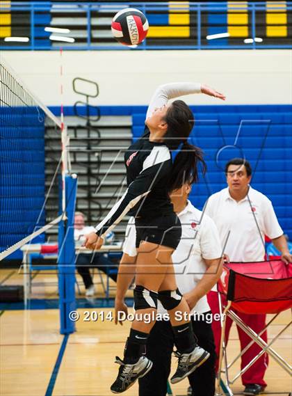 Thumbnail 3 in Arroyo @ Newark Memorial photogallery.